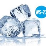 WS-23 30% Cooling agent 30 ml