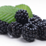Blackberry Flavor 30 ml
