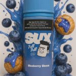 Sux Seed - Blueberry Choux 100ml 3mg