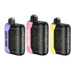 Geek Bar -  Pulse X 25000 Puffs 4.5%